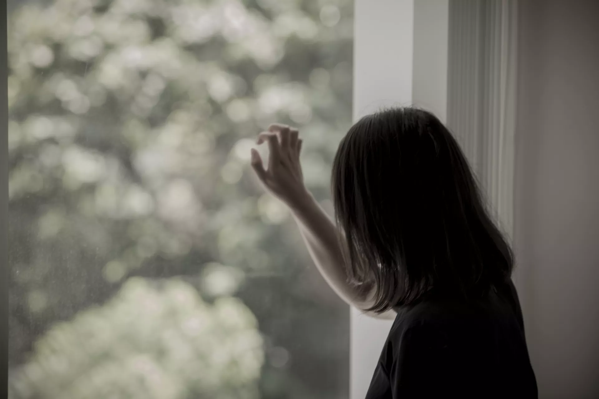 Cận cảnh não bộ kết nối ánh sáng